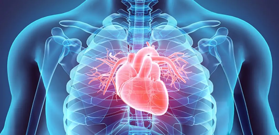 Insuficiência Cardíaca: Conheça sintomas e tratamento