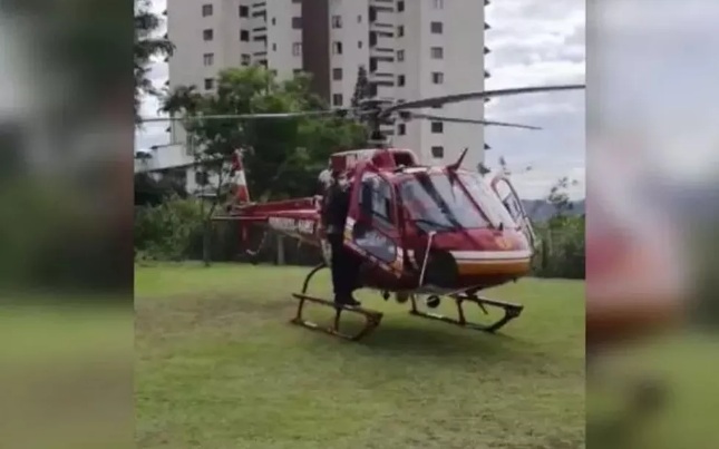 Criança de 6 anos é picada em SC por cobra mais venenosa do país