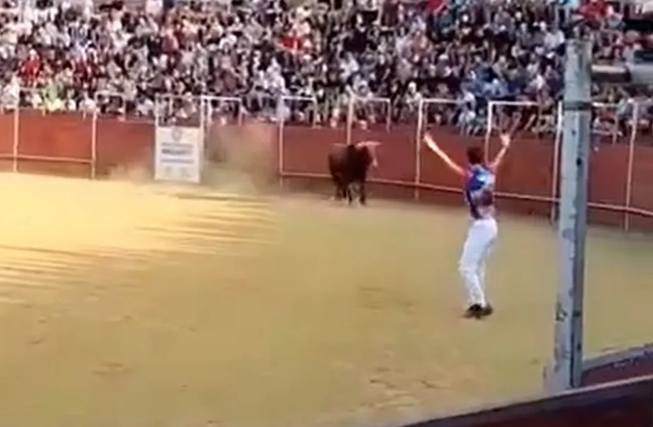 Homem leva chifrada no peito e morre em tourada na Espanha; veja vídeos