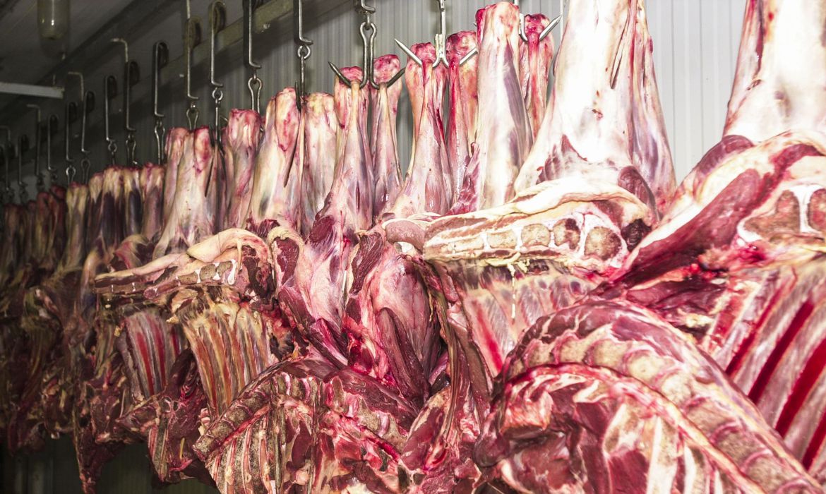 Brasil confirma caso de "vaca louca" no Pará e suspende exportação de carne à China