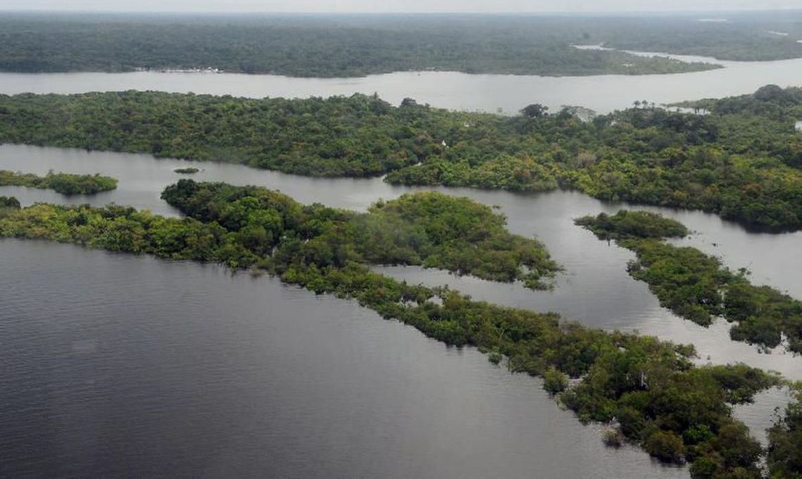 Governo Lula bate recorde histórico de desmatamento da Amazônia em fevereiro