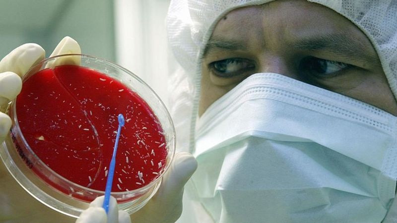 BBC: A técnica de curar feridas com larvas que virou arma contra esgotamento de antibióticos