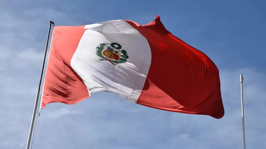 Peru declara emergência de saúde por surto de síndrome de Guillain Barré