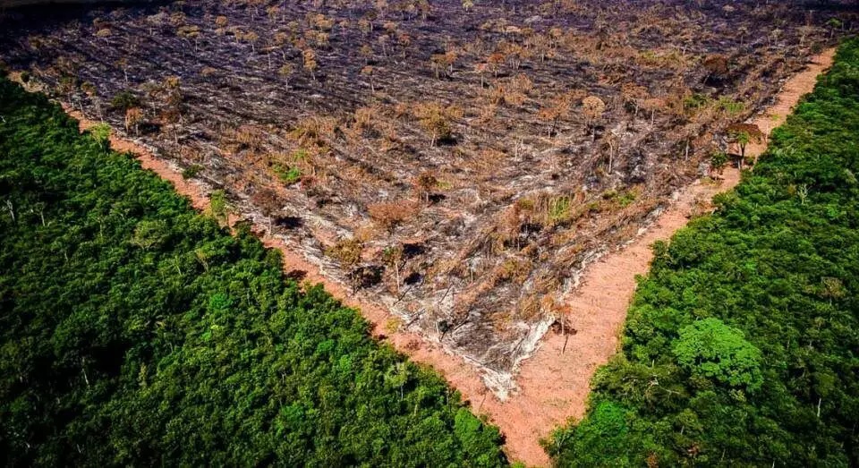 Incêndios têm pior outubro de sempre na Amazônia