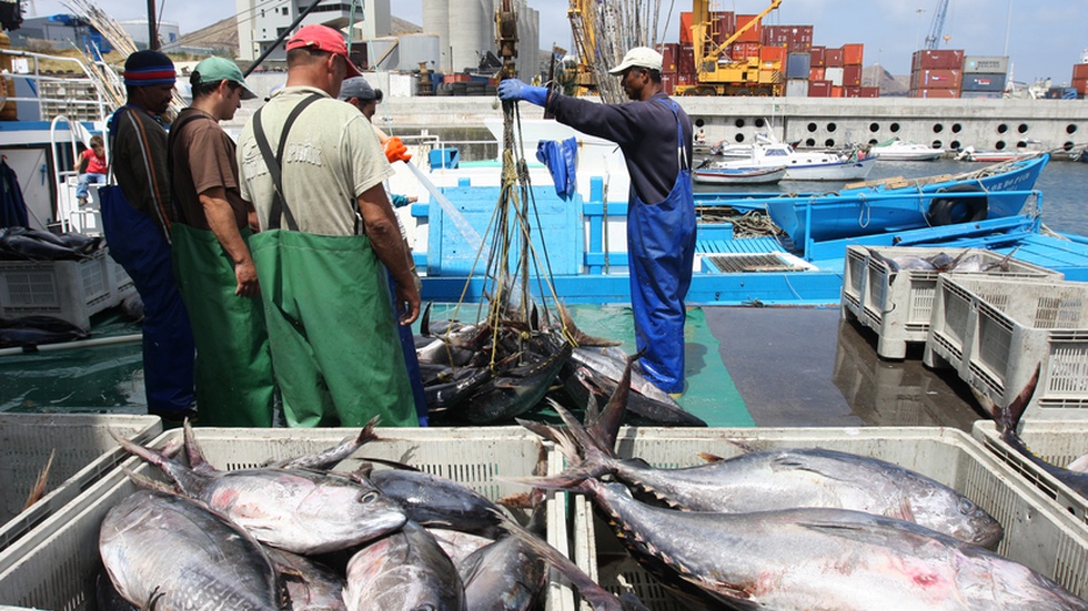 União suspende pesca de atum e empresas do RN podem ter prejuízo de R$ 30 milhões